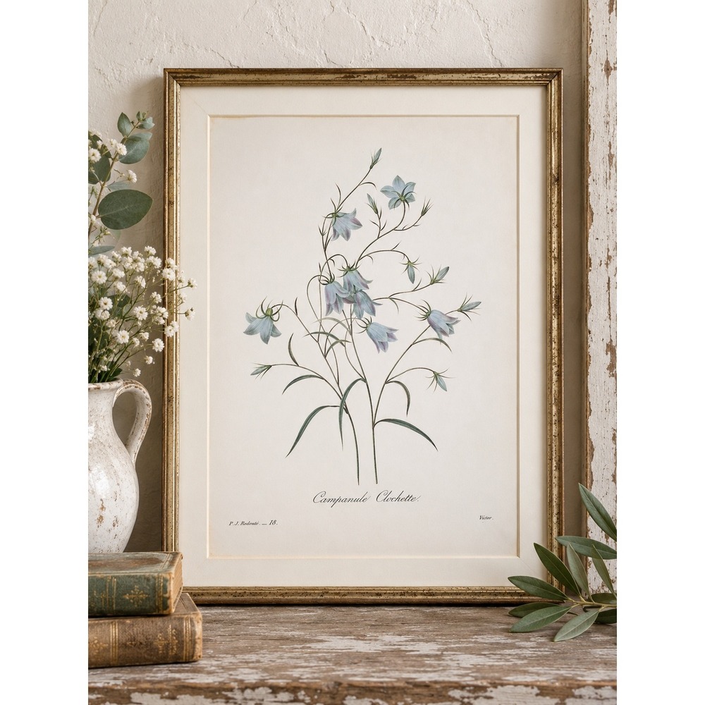P.J. Redouté Campanule Clochette Botanical Book Plate Blue Bellflower 11x14